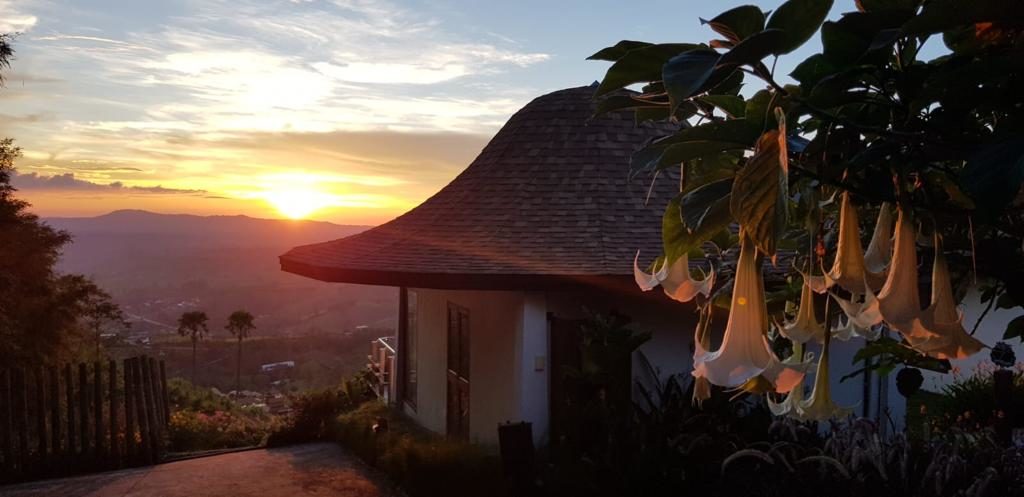 0495129f-5dff-4a44-baba-e1f2e8378dc2