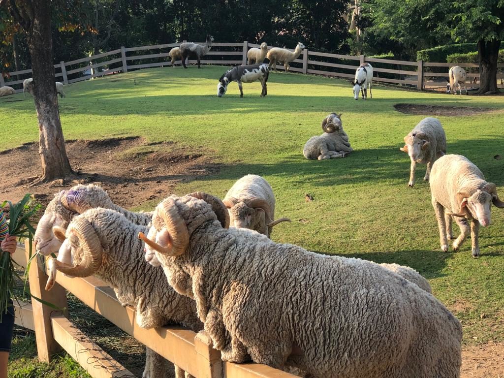 WhatsApp Image 2019-12-02 at 4.19.26 PM