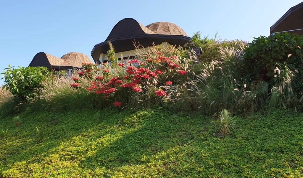 d8035649-800d-4c33-899d-f1bb52fbe52e